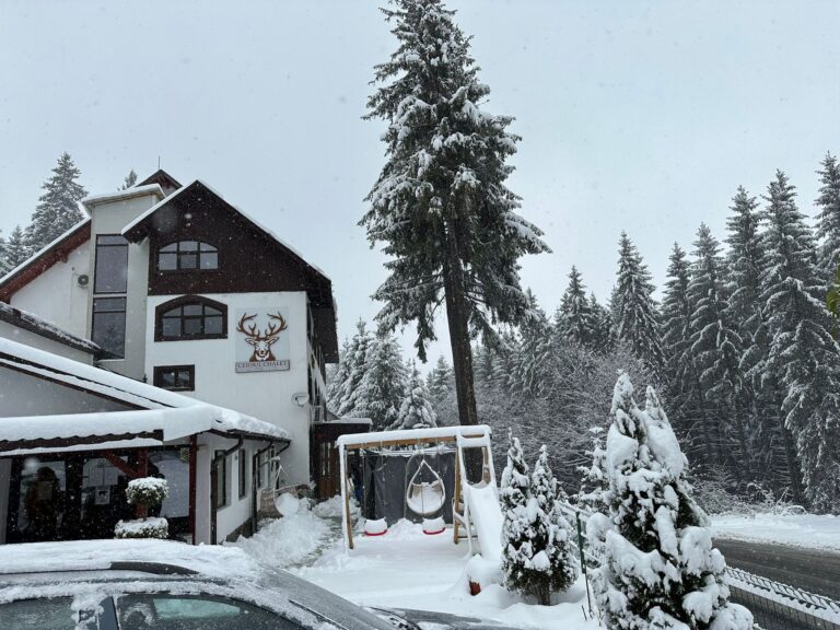 WhatsApp Image 2026-02-03 at 15.24.32 (3)