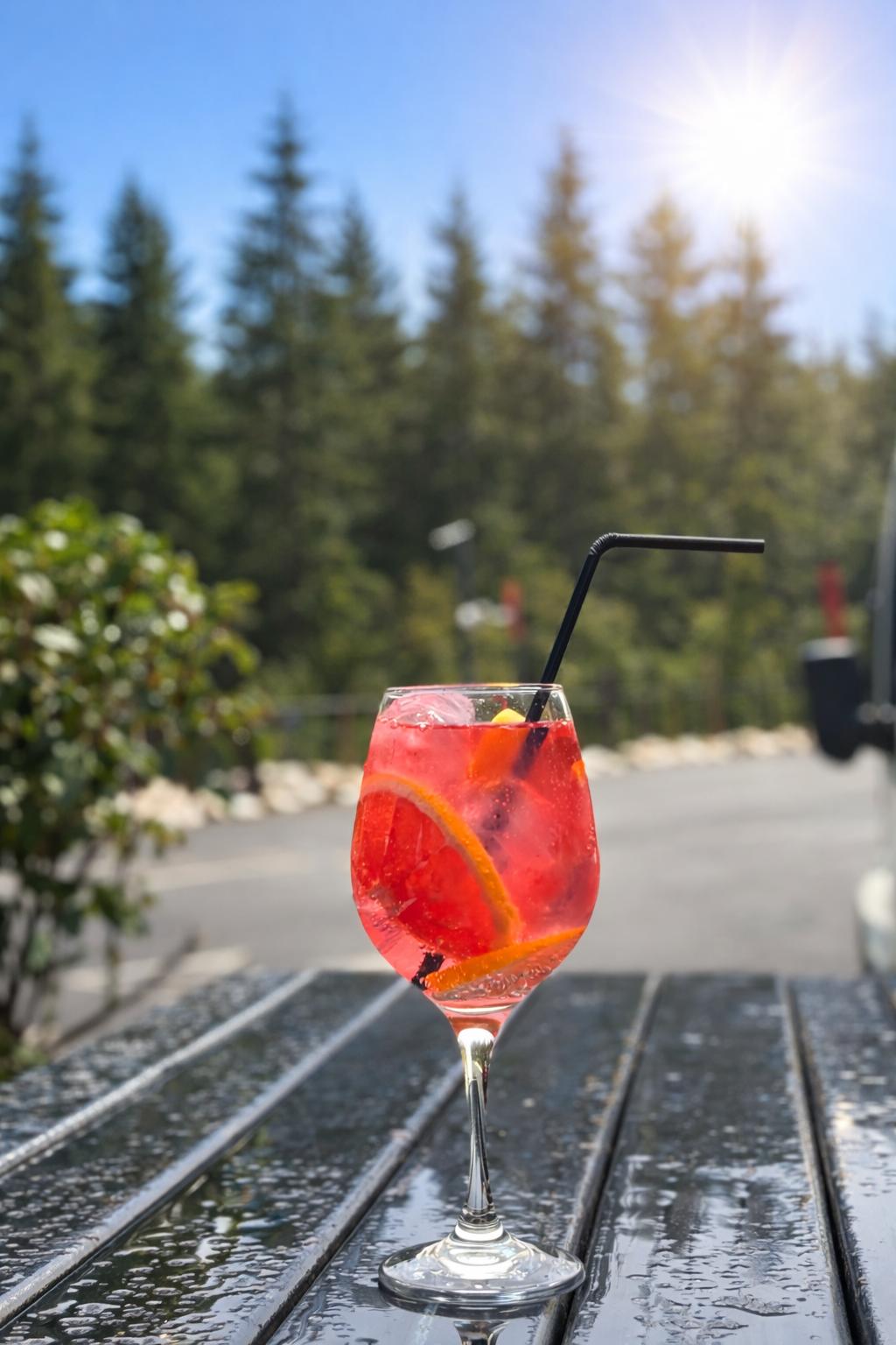 WhatsApp Image 2026-02-12 at 10.30.39